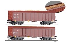 Tillig 01107 - TT - 2-tlg. Set Gedeckte Güterwagen Hackschnitzel, DB AG, Ep. VI